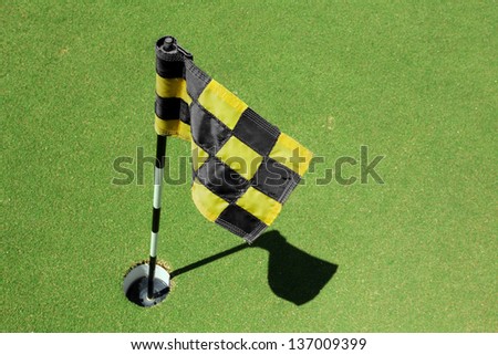 Flag and golf hole