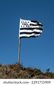 Flag Gwenn-ha-du Of Brittany In France Flutters In The Wind
