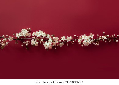Flag of Latvia made from white blooming branch on red background for latvian Independence day celebrations on 18 of November and 4 of May. Space for text