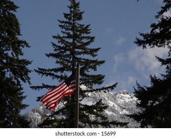 The flag at Longmire Camp on Mt' Ranier