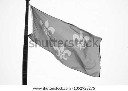 Flag in sky