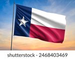 Flag of Texas waving flag on sunset view