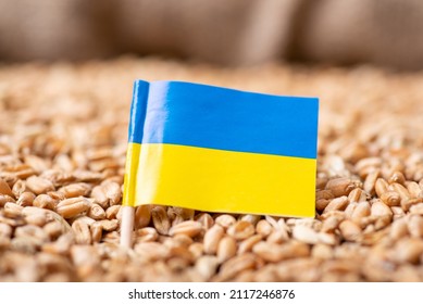 Flag of Ukraine on wheat. Harvest of wheat in Ukraine concept - Shutterstock ID 2117246876