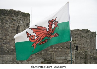 1,111 Welsh dragon Stock Photos, Images & Photography | Shutterstock