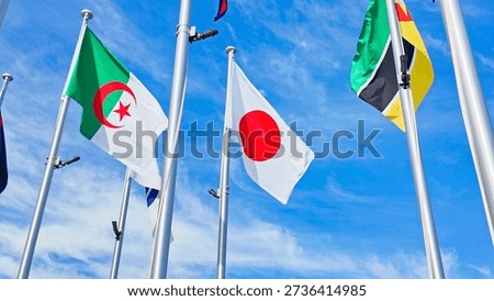 Flags of all nations fluttering in the wind