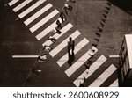 THE FLAGS, argentic black-and-white photograph : in Besançon, France, in full sun and seen from above, a man in a white shirt crosses a deserted street by taking the white-striped pedestrian crossing.
