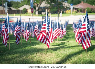 Flags flutter in the breeze across a sunlit lawn in Coppell suburbs Dallas, Texas, blurred homes and a stop sign behind, symbolizing how national memory lives quietly within neighborhood life. USA