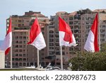 Flags of Monaco with Fontvieille in the background