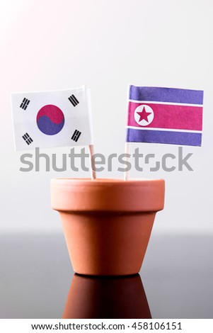 flags of southkorea and northkorea in a plant pot