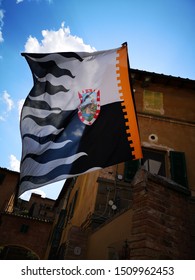 Flags Of Teams On Houses During The Il Palio Holiday In Siena