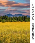 Flagstaff Arizona looking out at the San Francisco Peaks on Mt. Humphreys.