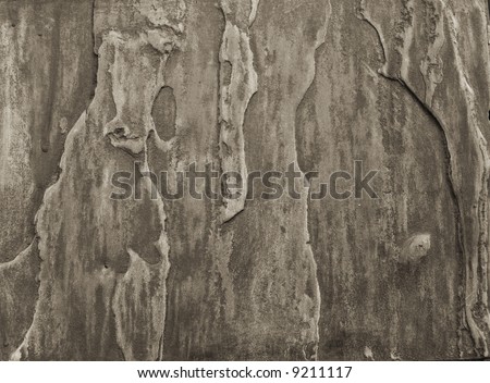  flagstone monochrome texture