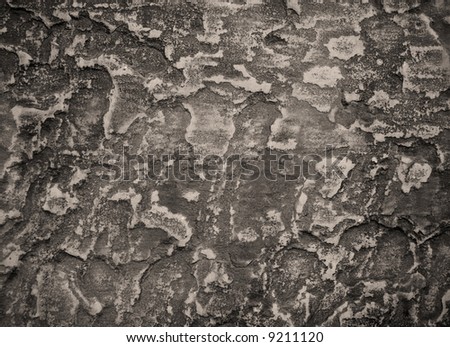 flagstone texture