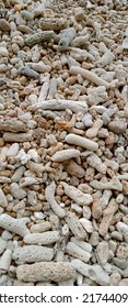 Flakes Of Dead Coral Reefs On The Coast Of The Island Of Mandeh, West Sumatra