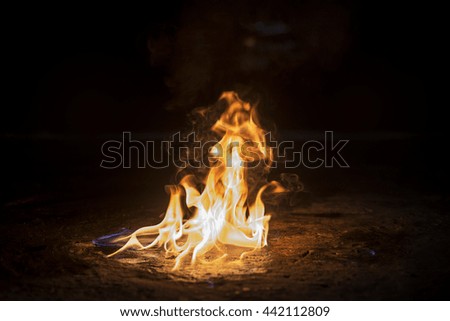 Similar – Foto Bild Lagerfeuer im Wald Freude