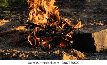 flame. burning branches and coals for cooking barbecue. picnic, summer vacation and holidays, leisure. fire, danger.