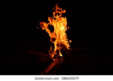 The flame in the dark