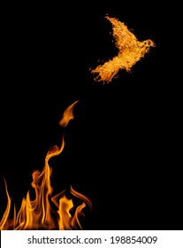 Flame Dove Flying From Yellow Fire Isolated On Black Background