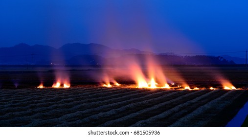 Flame in the field - Shutterstock ID 681505936