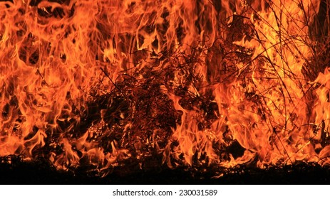 Flame Fire Background Colors Burning Heat Stock Photo 230031589 ...