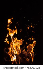 Flame of fire on a black background .