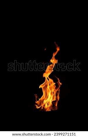 Flame on fire on isolated background black