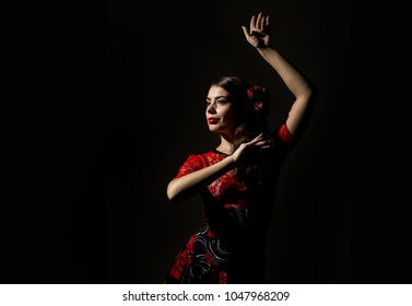 flamenco dancer dark background