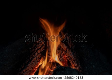 Flames from a campfire create light and warmth, forming a cozy, inviting atmosphere in the darkness.