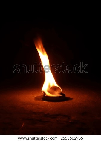 flames in the dark of night