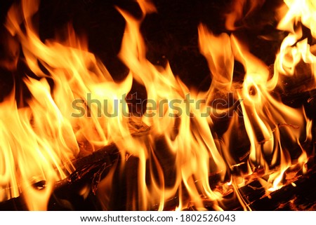 Flames of fire on a black background