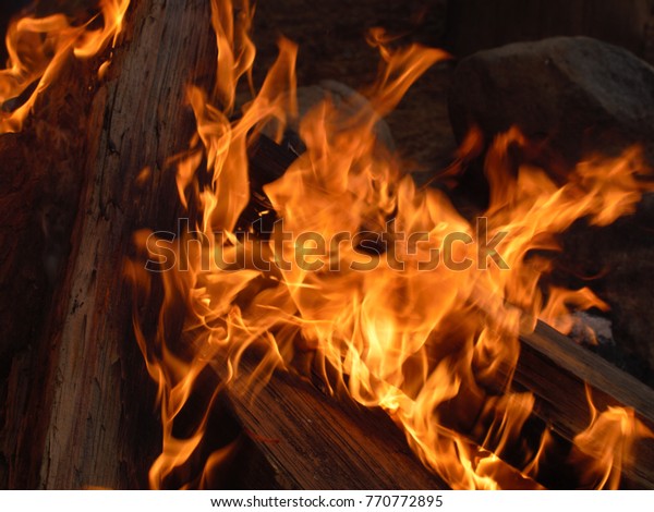 Flames Fire Pit Foresthill Christmas Tree Stock Photo Edit Now