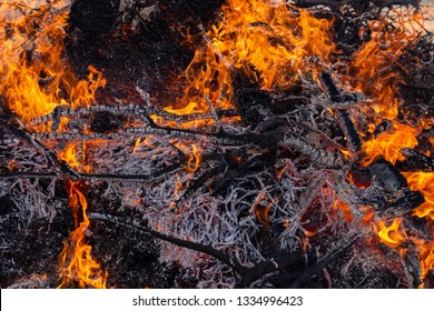 Flaming fire. Burning tree branches. Pagan rite dedicated to the arrival of spring. Big bonfire on Shrovetide. Auto-da-fe, ritual of public punishment, burning at the stake.