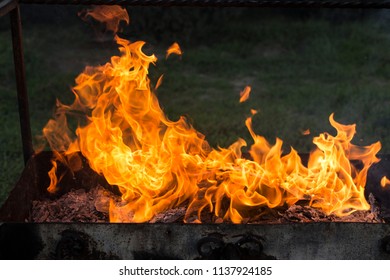 Flaming fire. Documents burning. Dance of fire spirits. Ignition of paper.