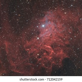 Flaming Star Nebula