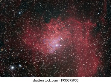 Flaming Star Nebula In The Deep Spy