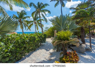 Flamingo Beach At Aruba Island