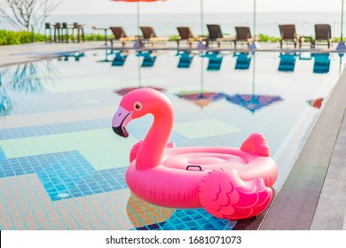 Flamingo float around swimming pool in hotel resort with umbrella and chair in hotel resort for travel vacation