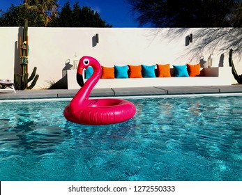 Flamingo Floatie In Pool