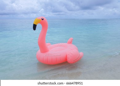 11,096 Float flamingo Images, Stock Photos & Vectors | Shutterstock