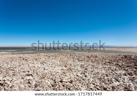 Similar – Foto Bild Flamingos Natur Landschaft