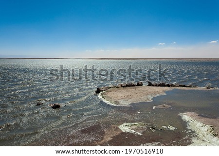 Foto Bild Flamingos Natur Landschaft