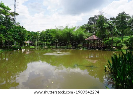 Flamingo Pond with nice Fountain at Wetlands Park Putrajaya, Malaysia                               