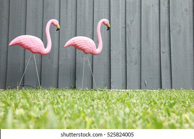 Flamingos Plastic 