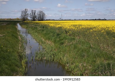 Flanders countryside landscape in spring flowers and creek