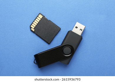 Flash drive and SD memory card on blue background, flat lay