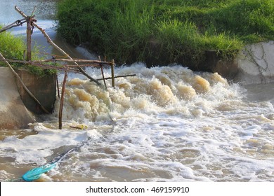 Flash Flood