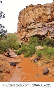 Flash Flood In A Southwest Canyon After A Heavy Rainstorm 