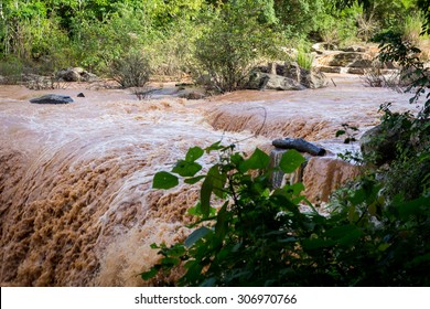 Flash Flood.focus Blur