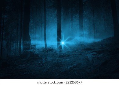 Flash in the night. Landscape. Mystery forrest. 