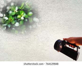 The flashlight shines on the wall as a leaf image.